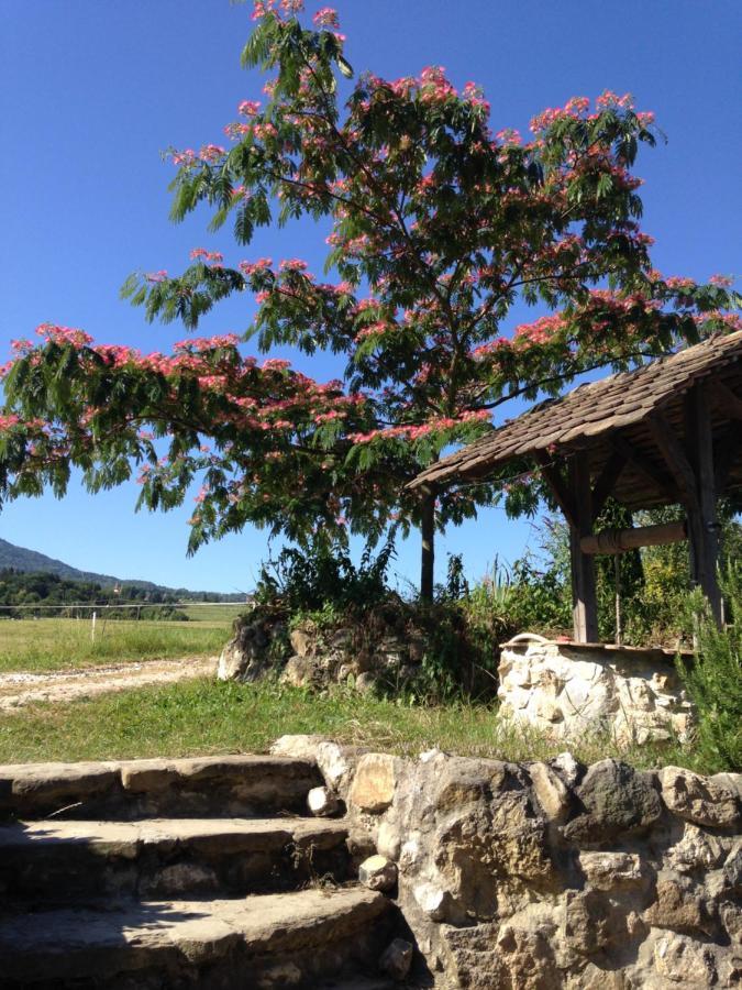 Les Patins A Roulottes Villa Yenne Exterior photo